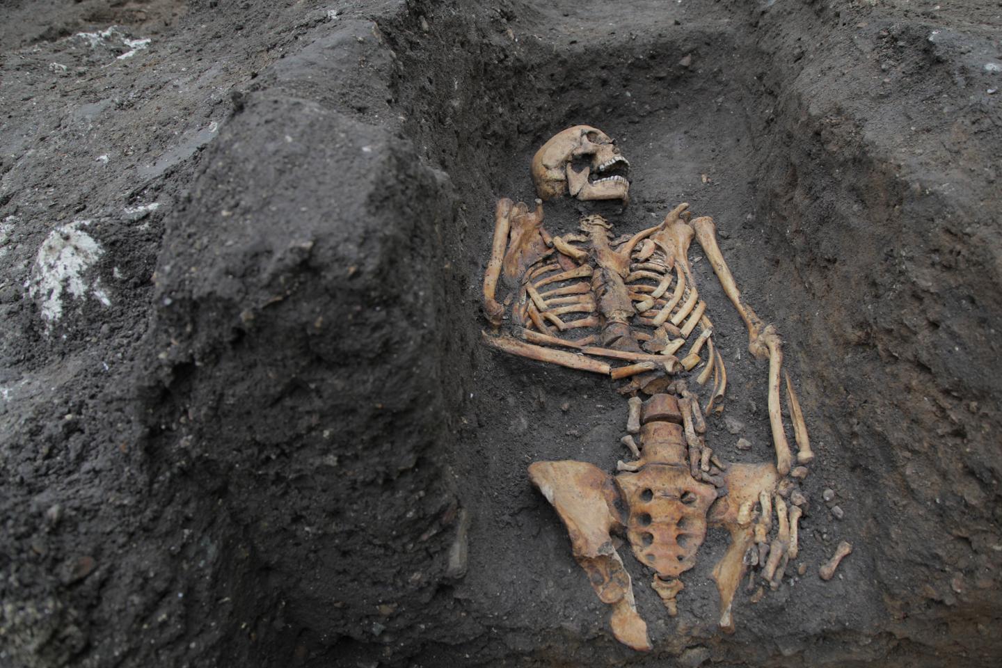 England Medieval Skeleton