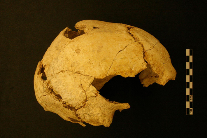 Spain Paleolithic Skull