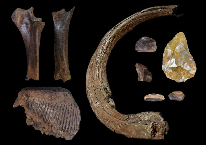 England Mammoth Bones Stone Tools