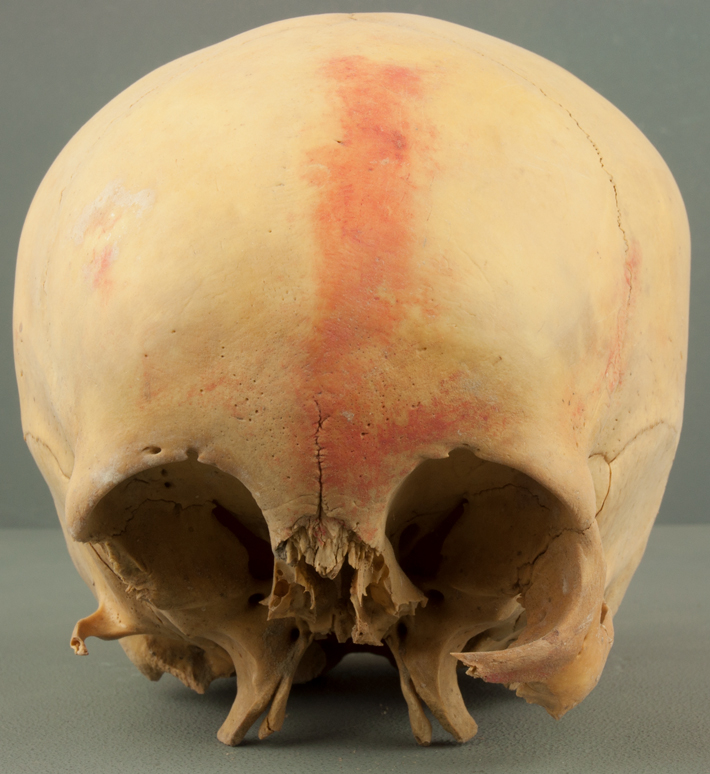 Peru Skull Pigment