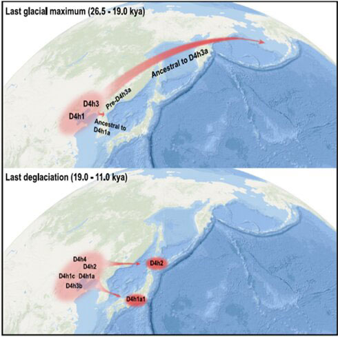Ice Age Migration