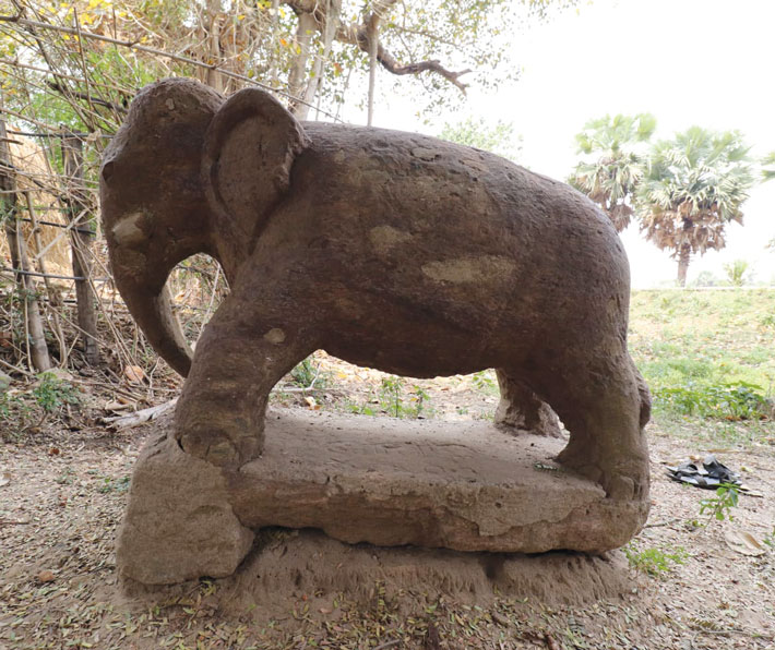 DD India Buddha Elephant