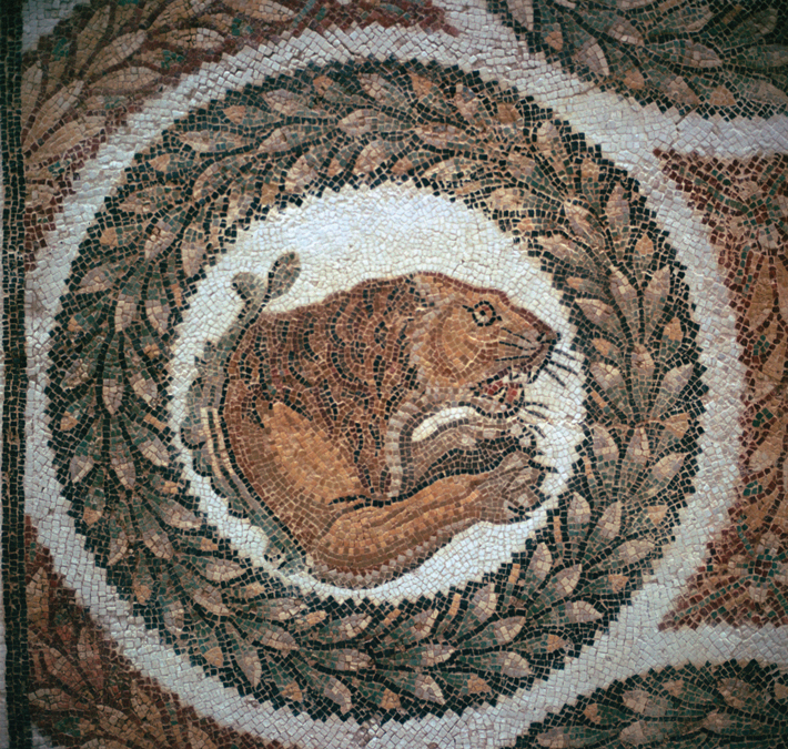 Lions Roman Mosaic