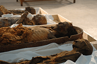 Hatshepsut Found; Thutmose I Lost