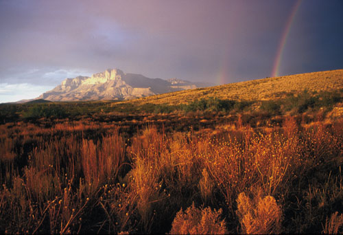 Image of Big Bend National Park