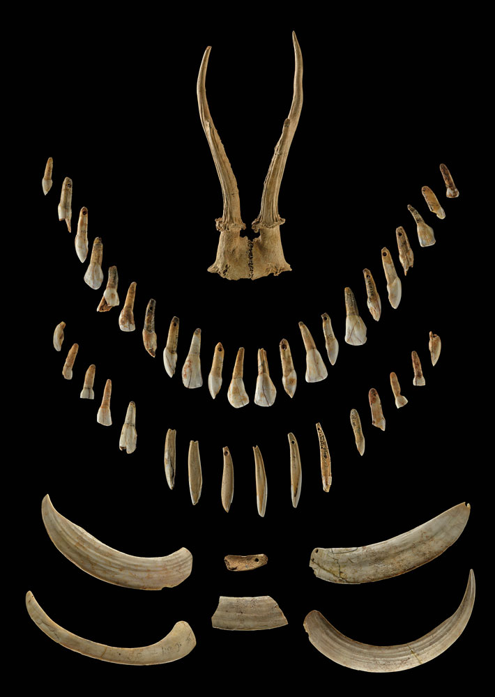 Germany Mesolithic Shaman Bone Headdress