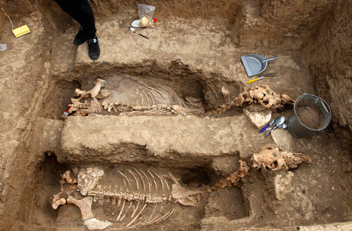Bulgaria Thracian Chariot Burial