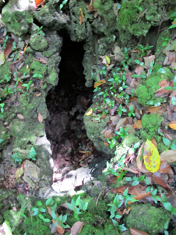 Peleliu WWII Japanese Holdout Cave