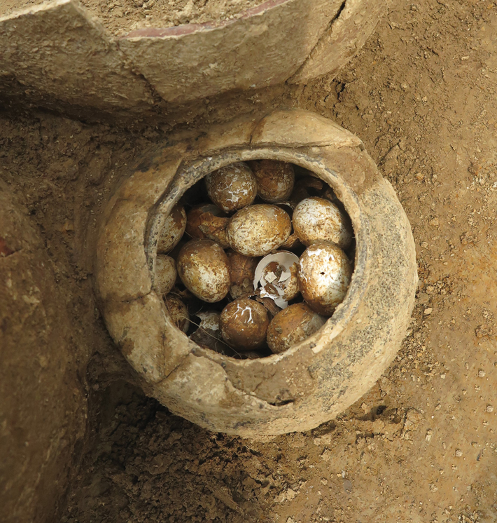 Trenches China Eggs CROPPED