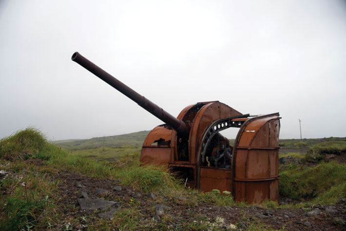 Alaska Anti Aircraft Gun