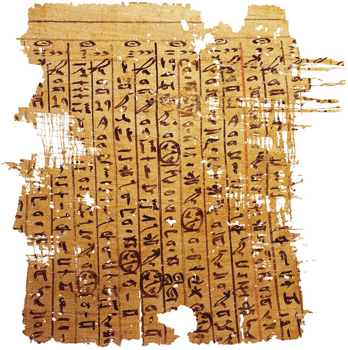Egypt Wadi el Jarf Papyrus Fragment