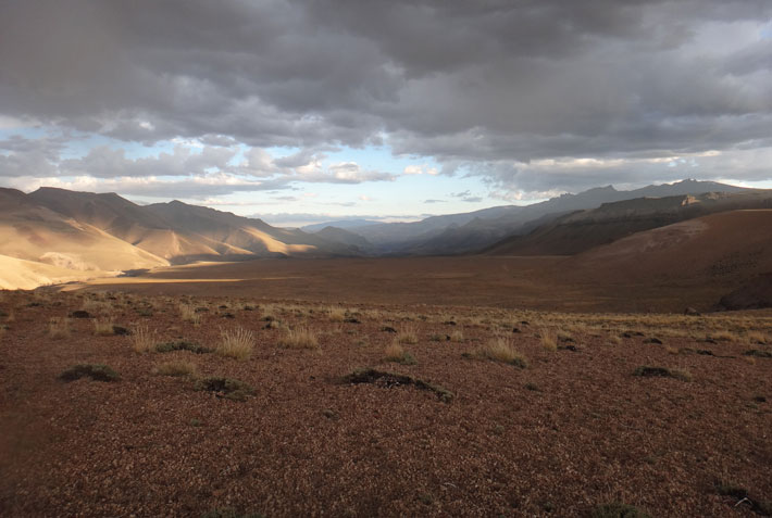 Patagonia Steppe Landscape