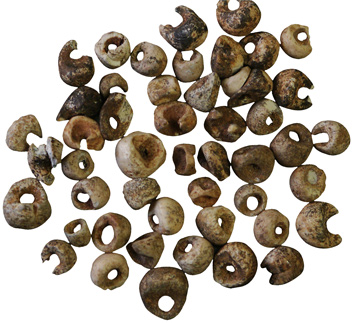 castanet-ornamental-beads.jpg