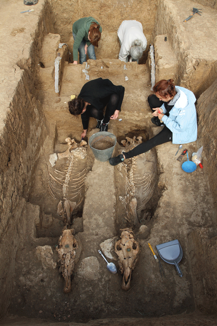 Thracian-Sveshtari-horse-burial
