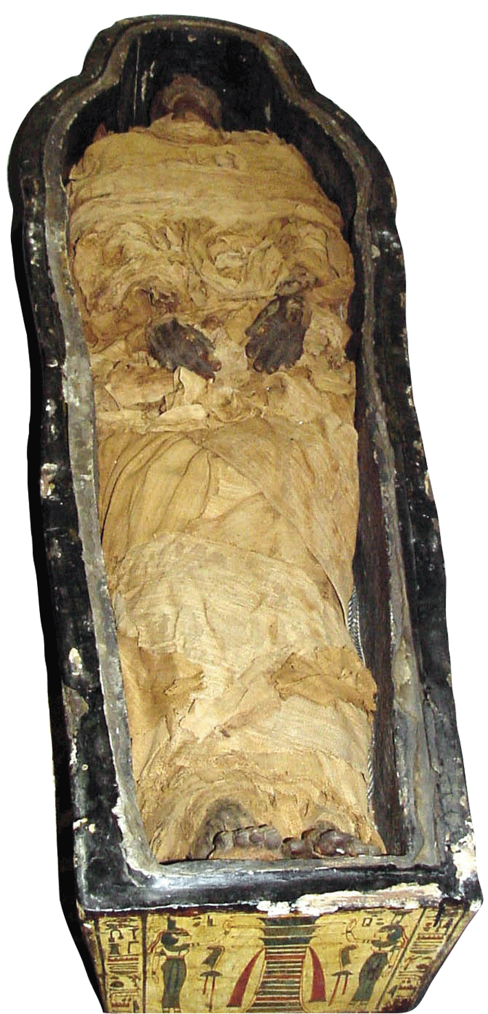 Top-10-Early-Mummification-Sarcophagus