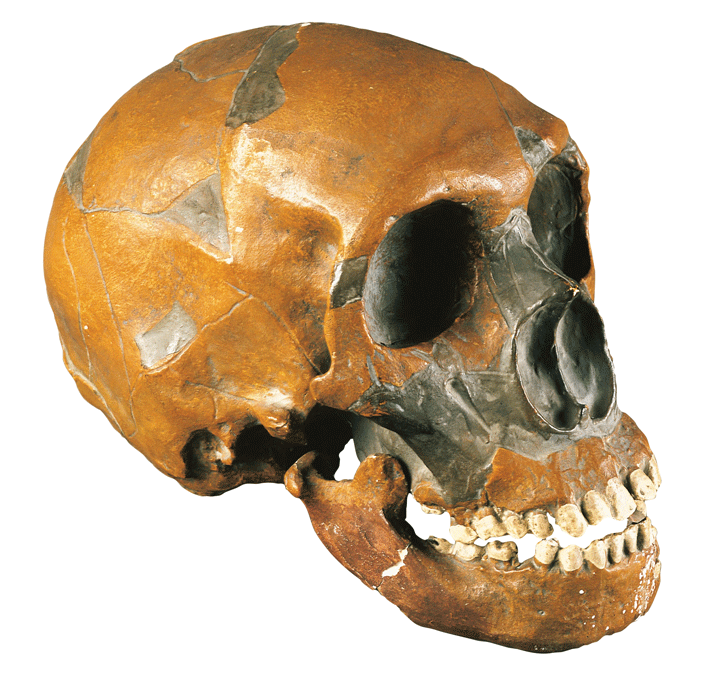 Top-10-Neanderthal-Epigenome