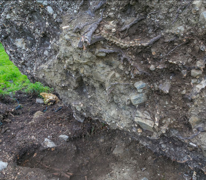 Trenches Ireland Skeleton Tree Closeup
