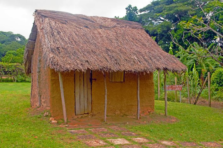 Trenches Jamaica Slave Hut