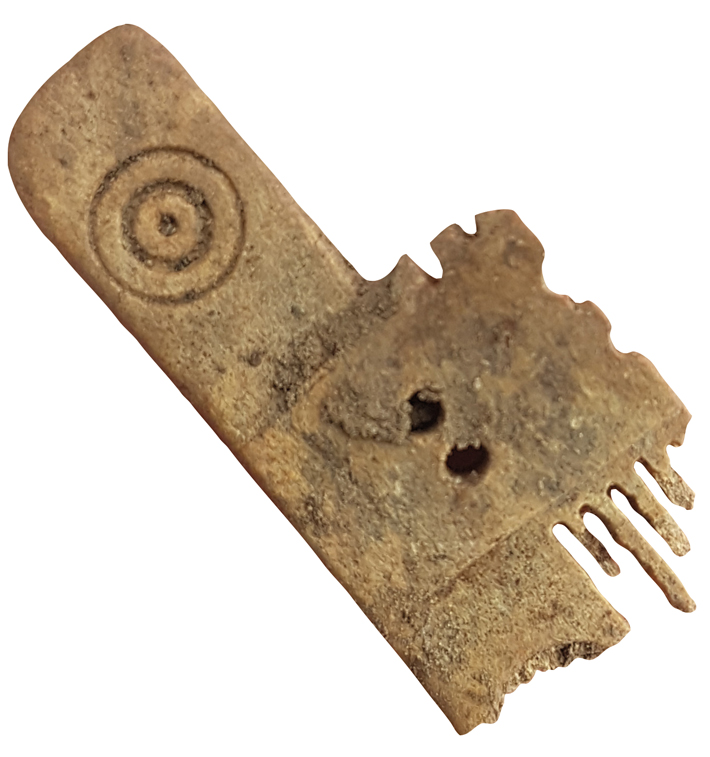 Digs Scotland Comb Fragment