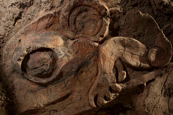 Digs Guatemala Toad Goddess