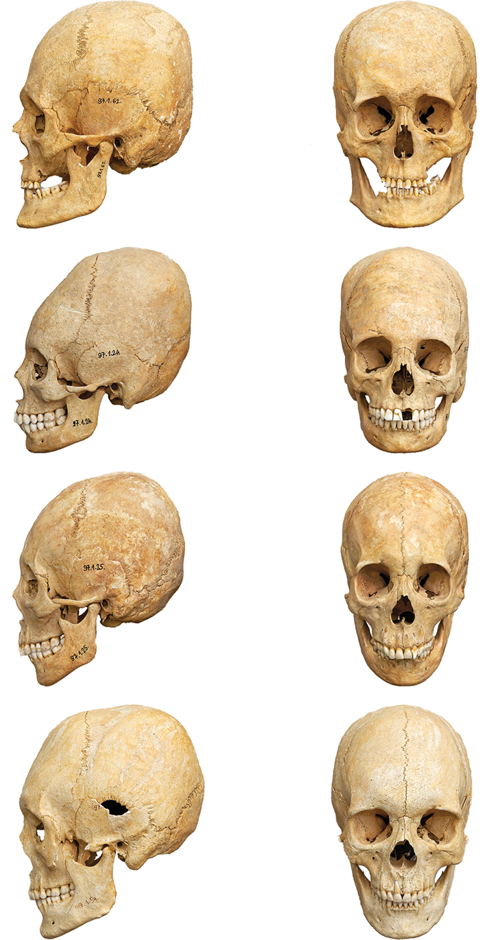 Digs Hungary Skulls