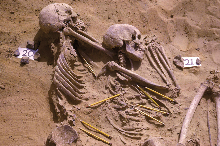 JF22 Digs Opener Sudan Skeletons