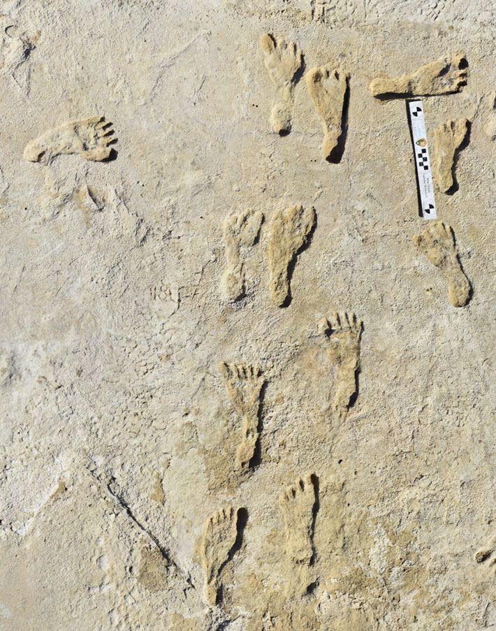 Ca. 22,700-year-old human footprints, White Sands National Park, New Mexico (Dan Odess, Courtesy National Park Service)