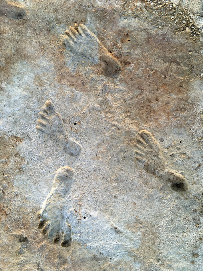 Top Ten New Mexico Footprints