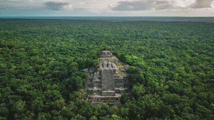 Maya Calakmul Pyramid