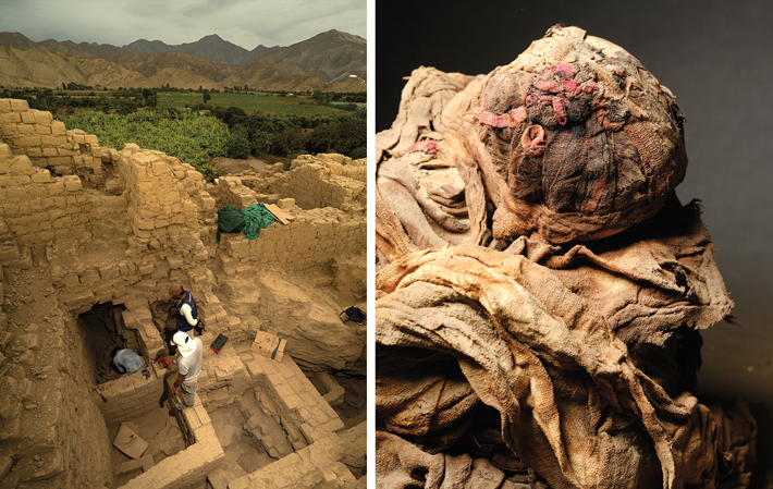 Top Ten Peru Huarmey Tomb Mummy Bundle Combo