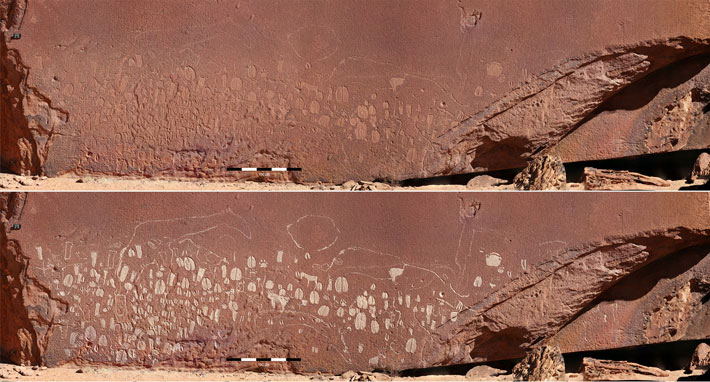 A rock art panel (top) engraved with almost 300 animal track engravings was recently discovered in Namibia’s Doro! Nawas Mountains. The carvings can be made out more easily in a version of the image (above) that has been digitally enhanced. (Photographs and artwork by P. Breunig)