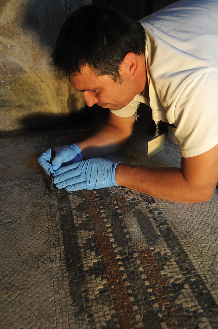 Pompeii Villa Mysteries Mosaics