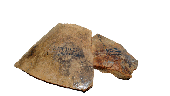 This sherd contains a wealth of information. On the left is a beta inscription reading C(ai) Antoni Balbi, stating that the oil belonged to the merchant Caius Antonius Balbus; next is a delta inscription reading  [---] ARCA PRIMA AA [---], which records bureaucratic information about the oil’s transfer. Other delta inscriptions record names of customs agents and places of export, as well as inspection dates; a rare epsilon inscription on the far right of this sherd is a storehouse control number, “III” or the Roman numeral 3.