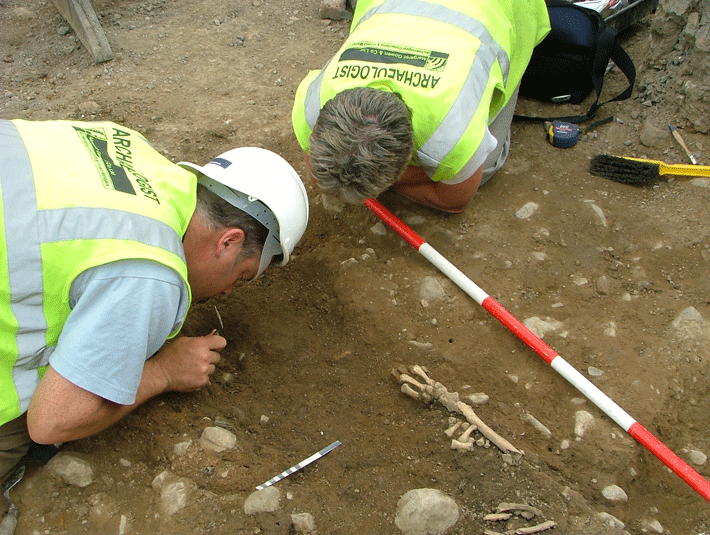 Ireland-Vikings-Belt-Excavation