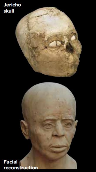 Trenches Jericho Skull Reconstruction Block