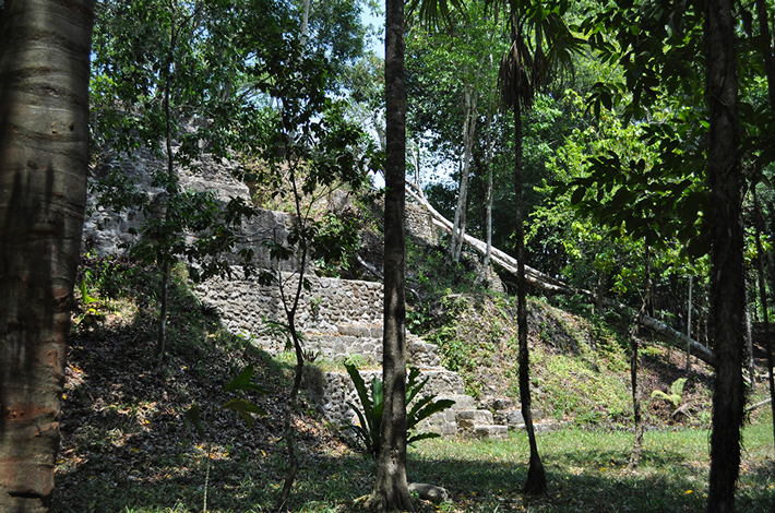 Trenches El Pilar Belize