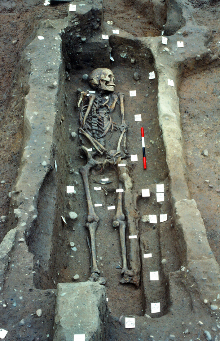 Vikings Repton Warrior Grave