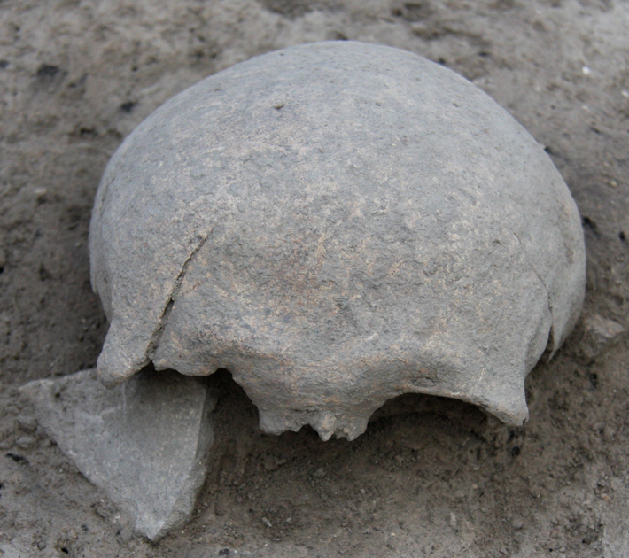 Trenches France Celtic Trophy Skull