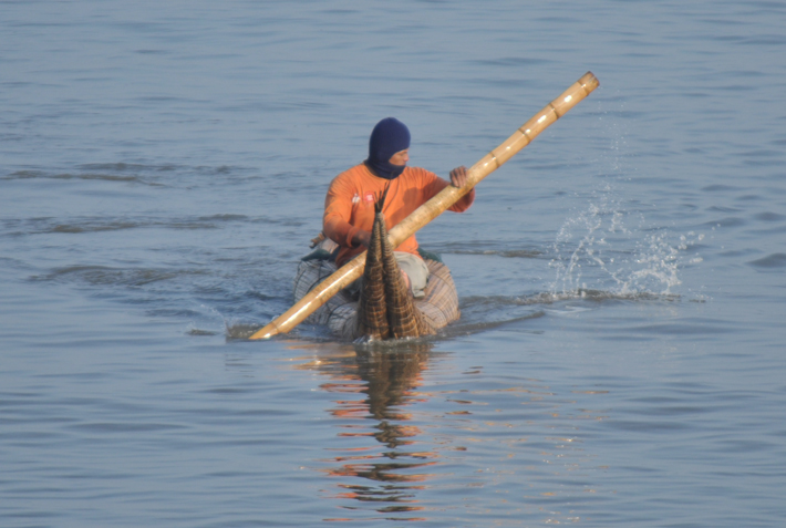 Peru Fisherchiefs Huanchaco Fisherman Paddling