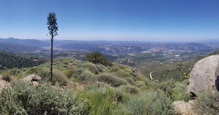 Harrison Palomar Mountain View