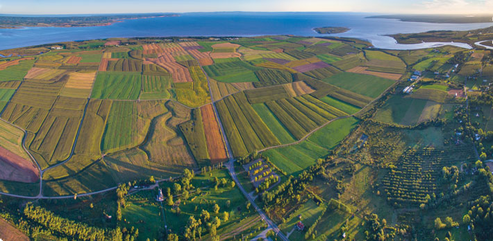 Acadia Grand Pre Fields