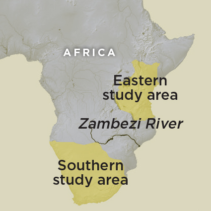 Artifact Zambezi River Map