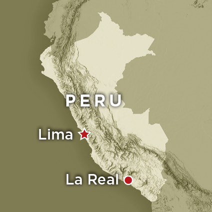 Artifact Peru Map