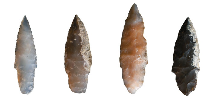MA23 Idaho Paleolithic Points