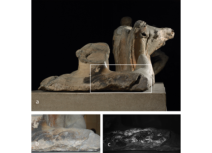 This sculpture from the Parthenon temple in Athens depicts Helios, the Greek god of the sun. New research using a technique called visible-induced luminescence imaging has found evidence that a pigment called Egyptian blue was used to represent water from which the god is rising in his chariot. Particles of Egyptian blue are highlighted in image C. (Giovanni Verri, ©Trustees of the British Museum)