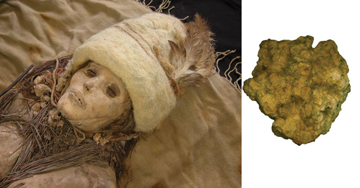 Bronze-Age-Cheese-Mummy-Lump-Combo