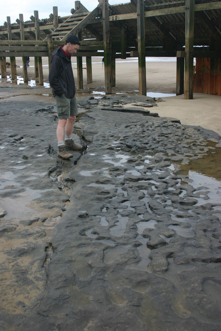Englands-Oldest-Footprints