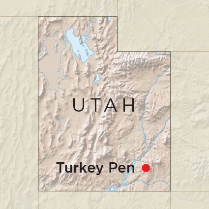 Artifact Utah Turkey Pen Map