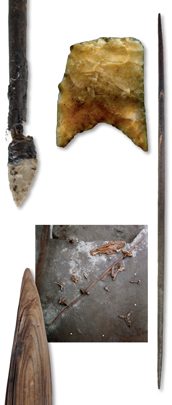 https://www.archaeology.org/images/MJ2020/Weapons/Weapons-Hunting-Equipment.jpg