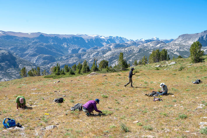 Team members record one of the nearly 100 sites that have recently been identified high in the Wind River Range. 